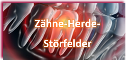 Störfelder/Herde